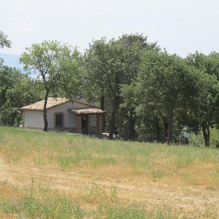 Holiday Home Il Podere Del Lago By Interhome Bolsena Eksteriør billede