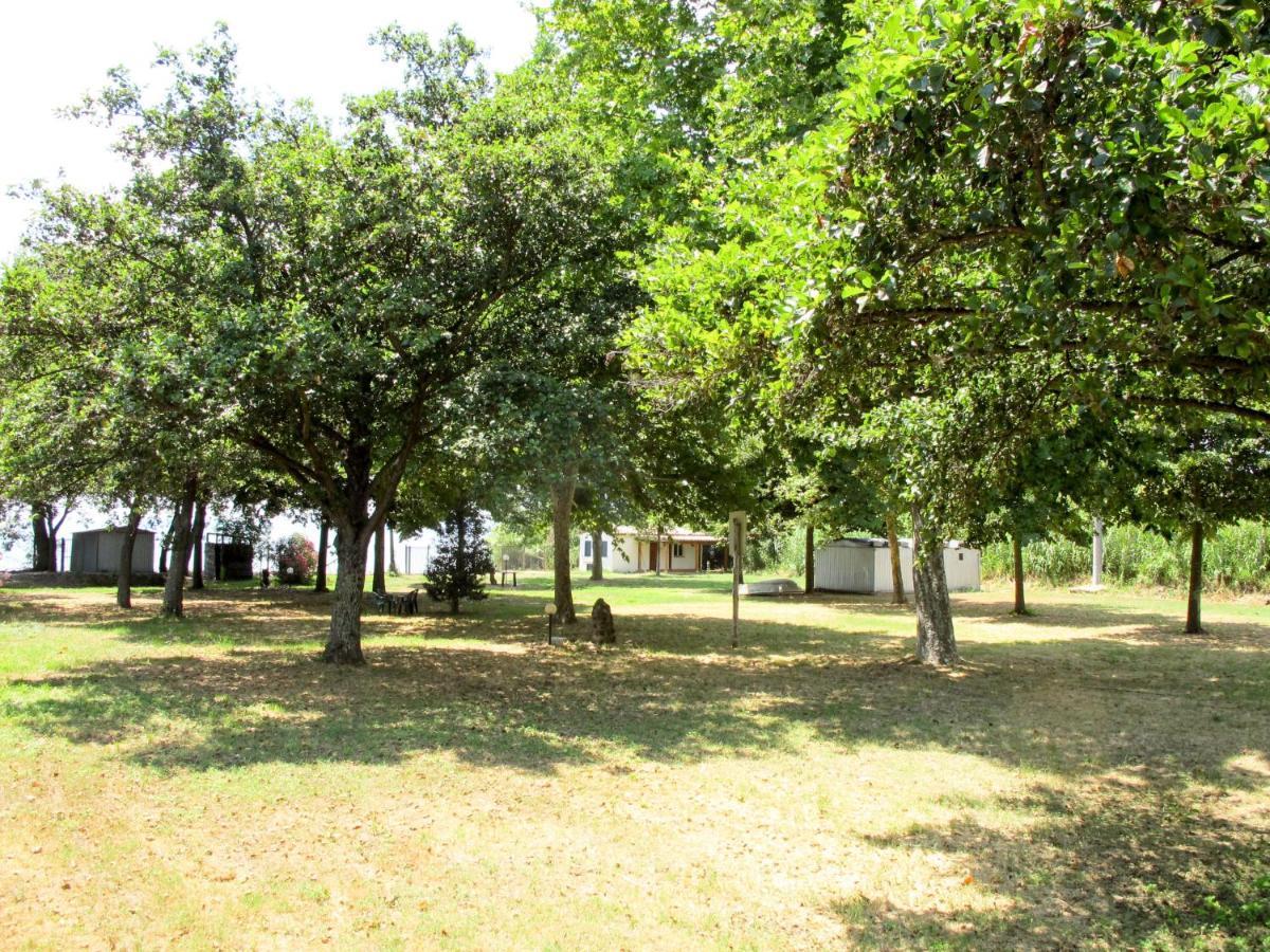 Holiday Home Il Podere Del Lago By Interhome Bolsena Eksteriør billede